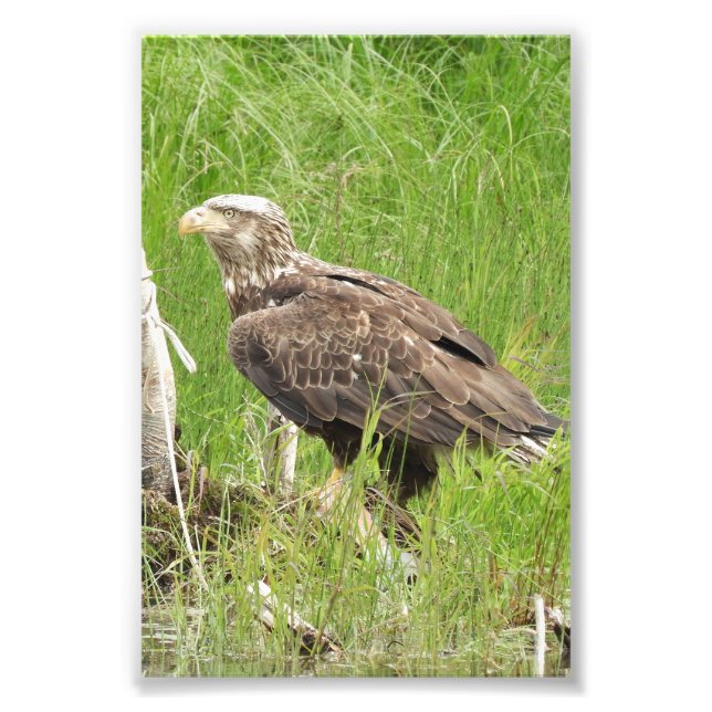 Premium Satin Photo Paper Photo Enlargement Print (Front)