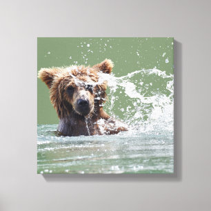 Premium Wrapped Canvas 12x12 w/ grizzly bear cub Print