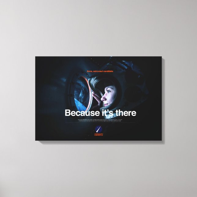 Premium Wrapped Canvas Because it's there Print (Front)