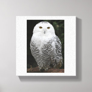 Premium Wrapped Canvas (Gloss) Print