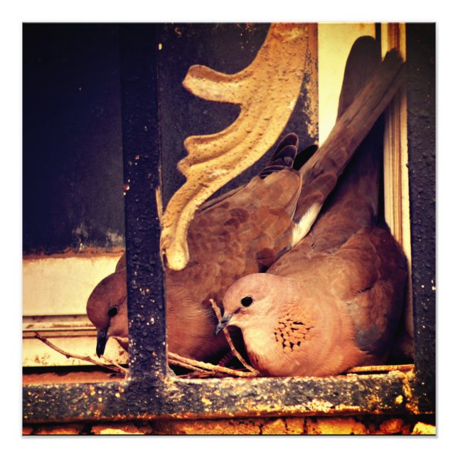 Preparation  photo print (Front)