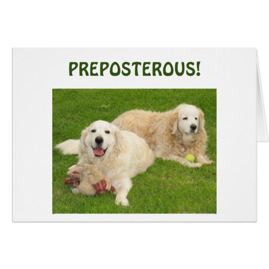 PREPOSTEROUS-YOU ARE "40" BIRTHDAY CA CARDS (Front Horizontal)