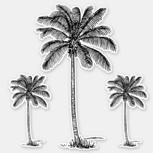 Preppy Black Coastal Palmetto Palm Trees Sticker