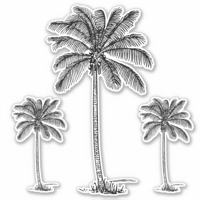 Preppy Black Coastal Palmetto Palm Trees Sticker (Front)
