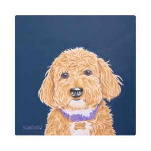 Preppy Goldendoodle Metal Print