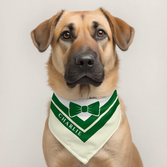 Preppy Green Stripe Dog Tuxedo  Pet Bandana Collar (Dog 2)