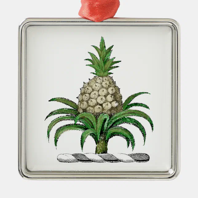 Preppy Heraldic Pineapple Coat of Arms Crest Metal Ornament Zazzle