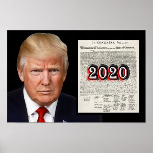 Pres. Trump 2020 & The Declaration of Independence Poster
