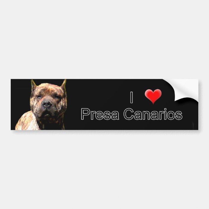 Presa Canario bumper sticker