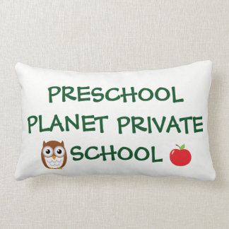 preschool owl pillow