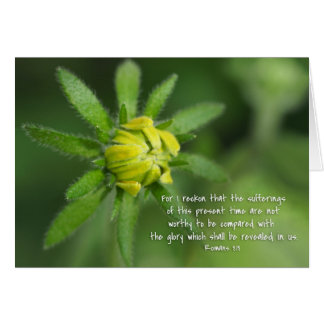 Present sufferings Romans 8:18 Yellow Daisy Cards
