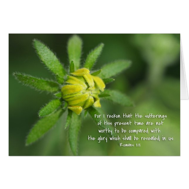 Present sufferings Romans 8:18   Yellow Daisy Cards (Front Horizontal)