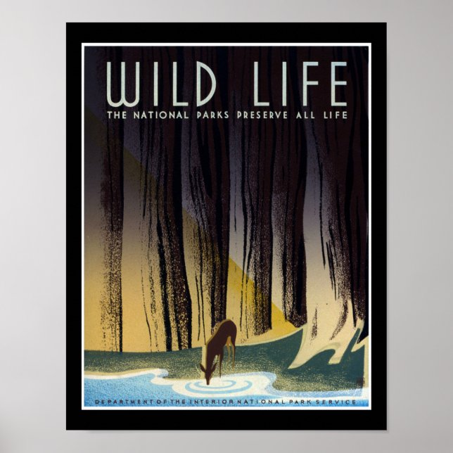 Preserve All Life Poster (Front)