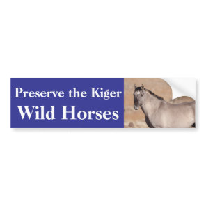 Preserve the Kiger Wild Horses Bumper Sticker