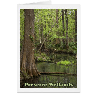 Preserve Wetlands Cards
