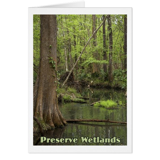 Preserve Wetlands Cards (Front)