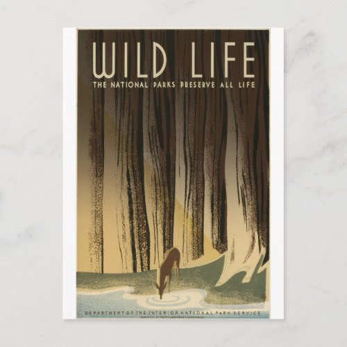 Preserve Wildlife Postcard