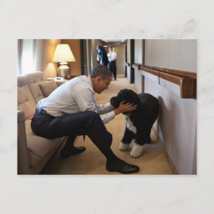 President Barack Obama with Bo Postcard