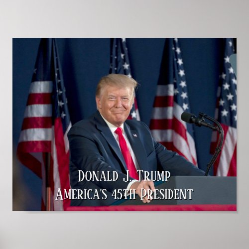 President Donald J Trump Mt Rushmore Speech Poster