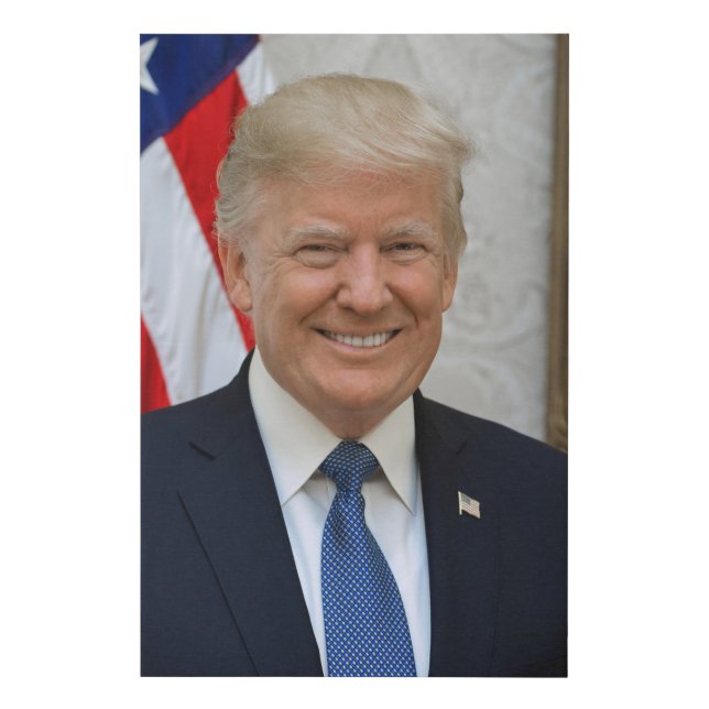 President Donald Trump 2017 Official Portrait Faux Canvas Print (Front)