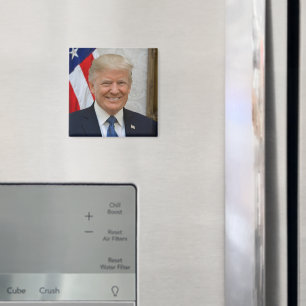 President Donald Trump 2017 Official Portrait Magnet