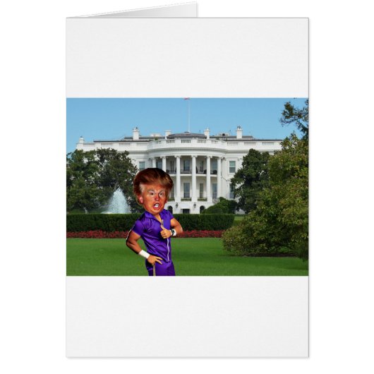 president donald trump cards (Front)