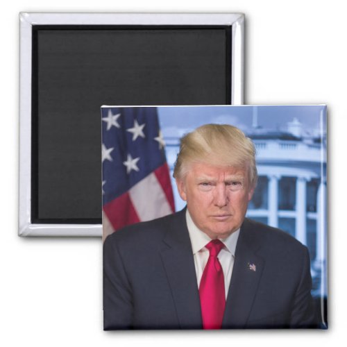 PRESIDENT DONALD TRUMP MAGNET