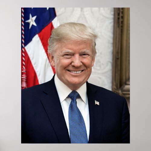 President Donald Trump Poster