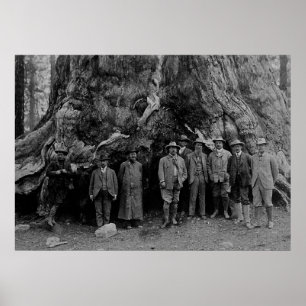 President Roosevelt and John Muir California 1903 Poster