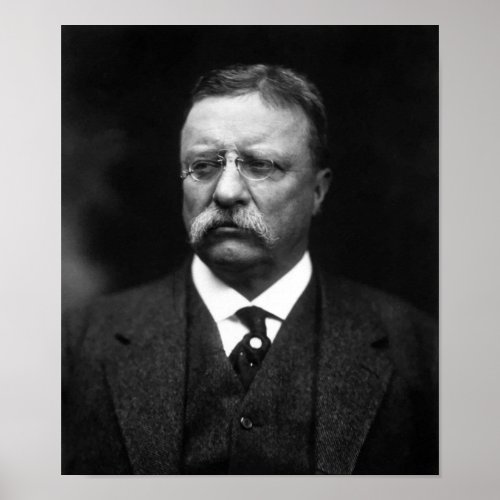 President Teddy Roosevelt Poster