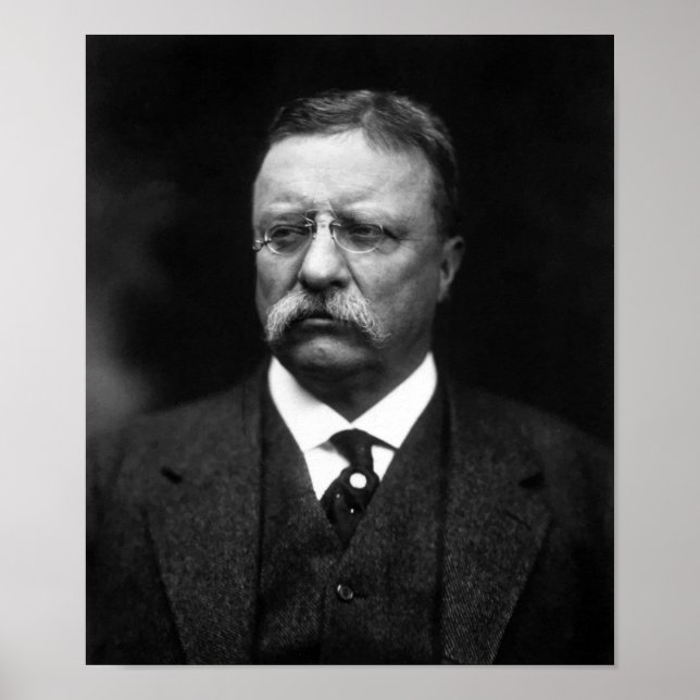 President Teddy Roosevelt Poster (Front)
