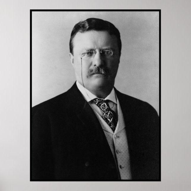 President Theodore Roosevelt Portait Poster (Front)