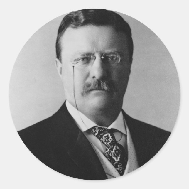 President Theodore Roosevelt Portrait Classic Round Sticker (Front)