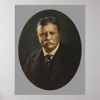 President Theodore Roosevelt Poster