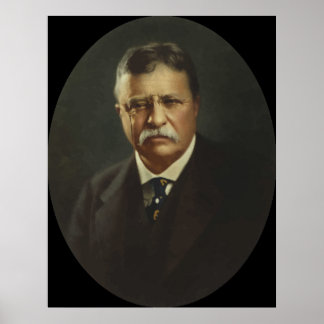 President Theodore Roosevelt Poster
