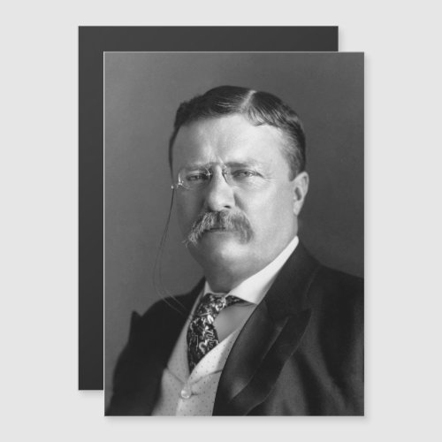 President Theodore Teddy Roosevelt Republican