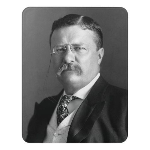 President Theodore Teddy Roosevelt Republican Door Sign