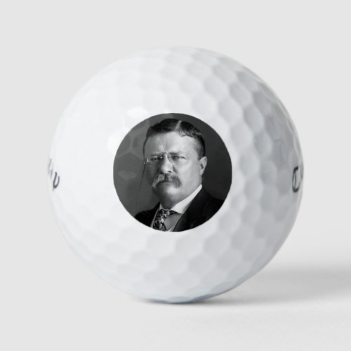 President Theodore Teddy Roosevelt Republican Golf Balls