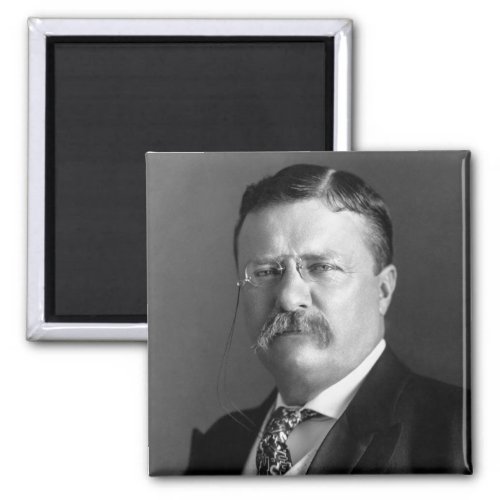 President Theodore Teddy Roosevelt Republican Magnet