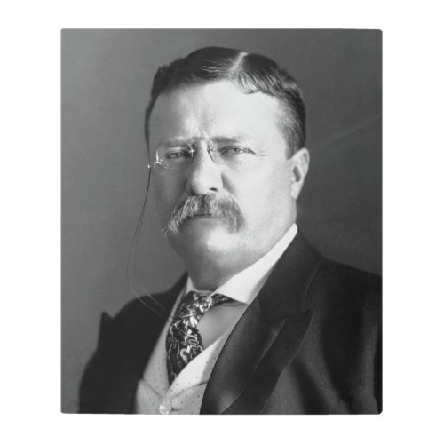 President Theodore Teddy Roosevelt Republican Metal Print