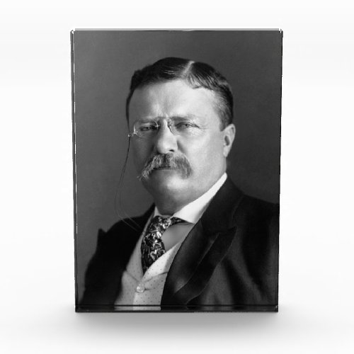 President Theodore Teddy Roosevelt Republican Photo Block