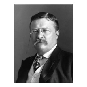 President Theodore Teddy Roosevelt Republican Photo Print