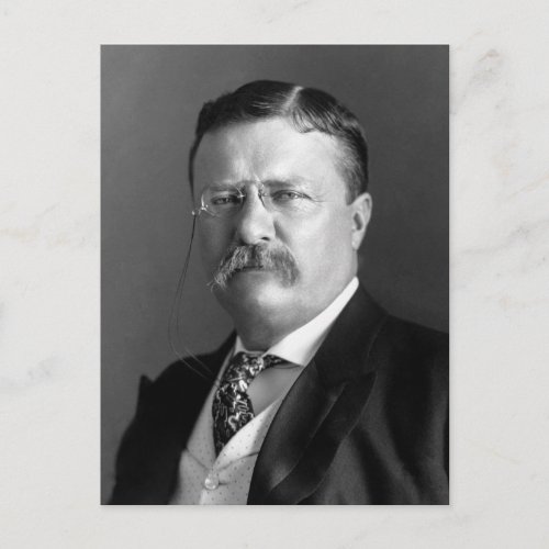 President Theodore Teddy Roosevelt Republican Postcard