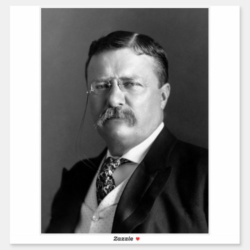 President Theodore Teddy Roosevelt Republican Sticker