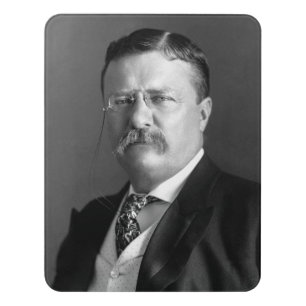 President Theodore "Teddy" Roosevelt US Republican Door Sign
