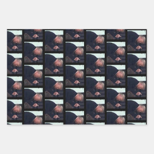 President Trump Flipping the Bird Wrapping Paper Sheets