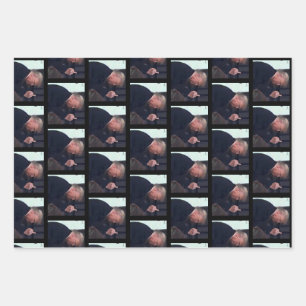 President Trump Flipping the Bird Wrapping Paper Sheets