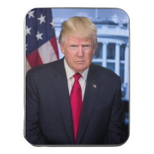 PRESIDENT TRUMP JIGSAW PUZZLE