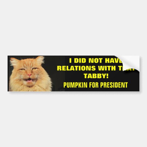 Presidential Campaign Slogan Bumper Sticker