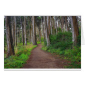 Presidio, SF (Front Horizontal)